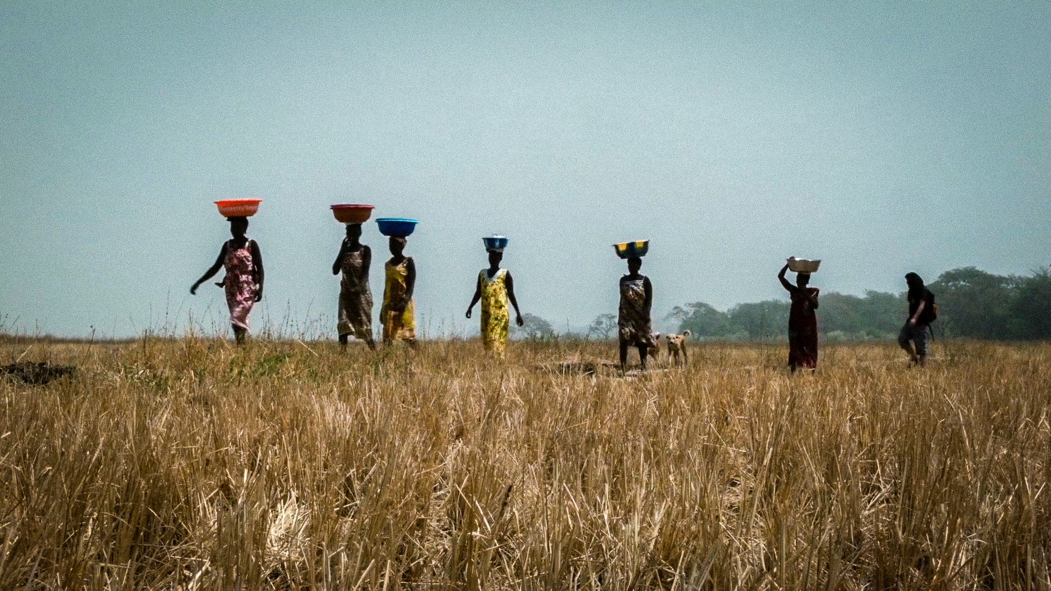 Des Guérandais fabriquent du sel en Guinée-Bissau